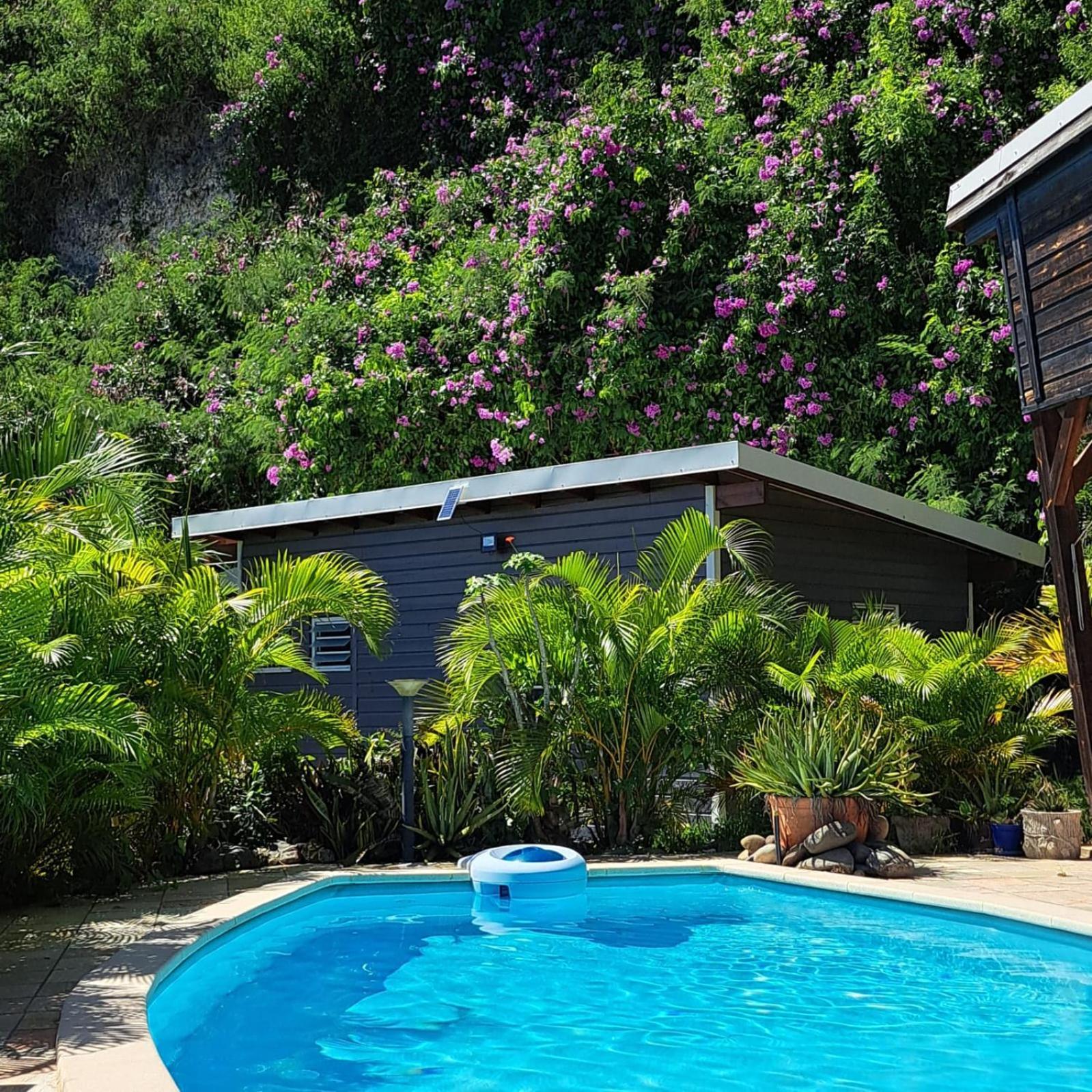 Zandoli Le Gosier (Grande-Terre) Exterior foto